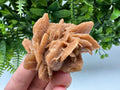 Natural Desert Rose Crystal – Root Chakra Healing Brown Selenite Stone