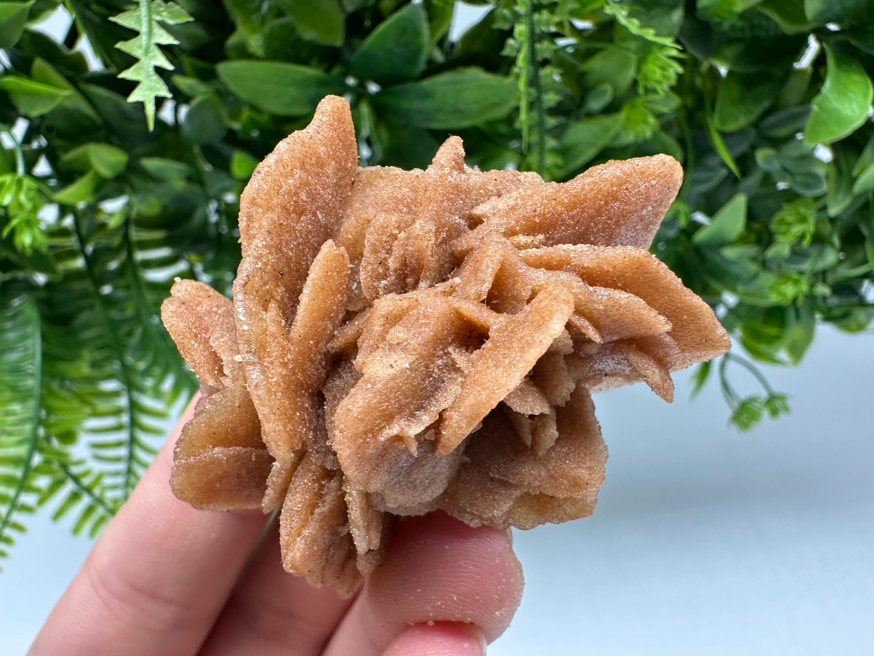 Natural Desert Rose Crystal – Root Chakra Healing Brown Selenite Stone