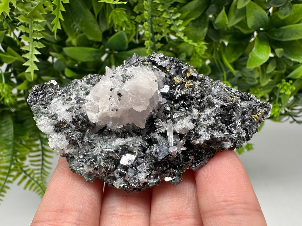 Pyrite on Green Quartz Specimen, Borieva Mine, Bulgaria