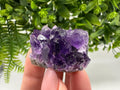 Uruguay Amethyst Crystal: Purple Quartz Home Decor, Energy Stone