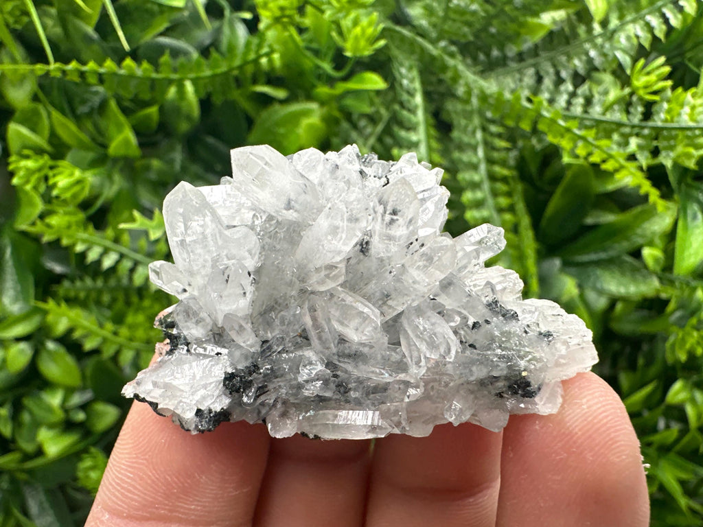 Transparent Quartz Cluster, Borieva Mine, Rare Crystal Specimen