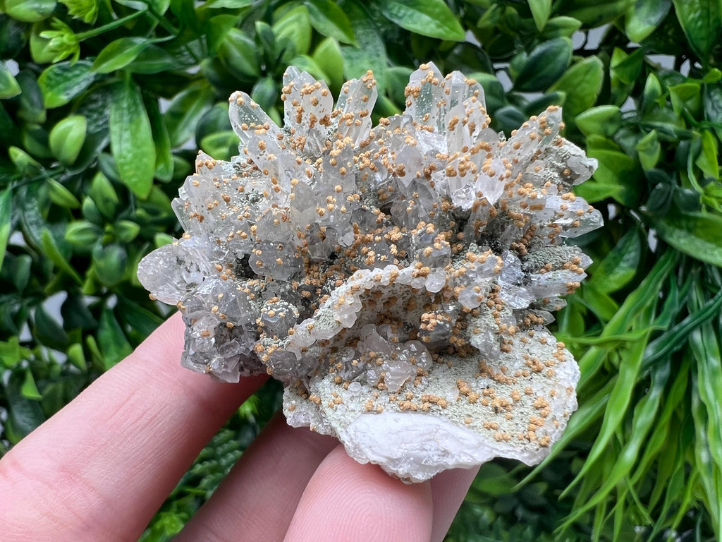 Quartz whit Brown Rhodochrosite from Djurcovo mine,Bulgaria,Quartz,Rhodochrosite cluster,natural mineral,collection crystal,mineral specimen