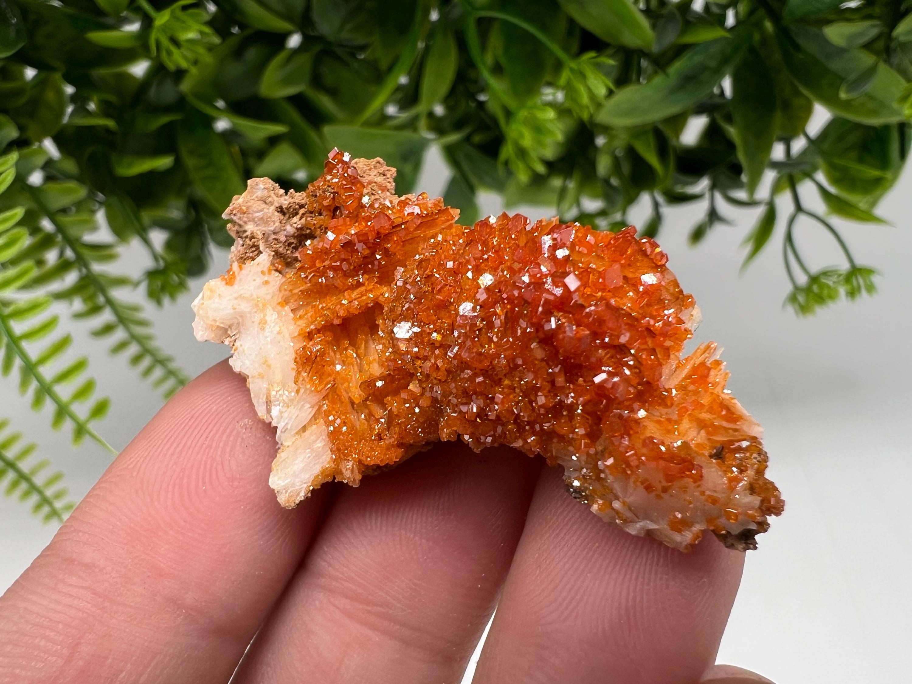 Red Vanadinite on Barite from Marocco,crystal minerals Speciment cluster Vanadinite crystal Vanadinite Geology Vanadinite cluster minerals