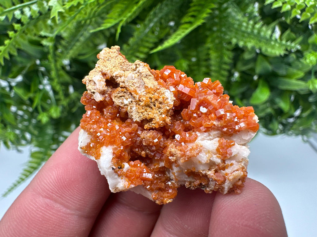 Red Vanadinite on Barite, Morocco Crystal Specimen
