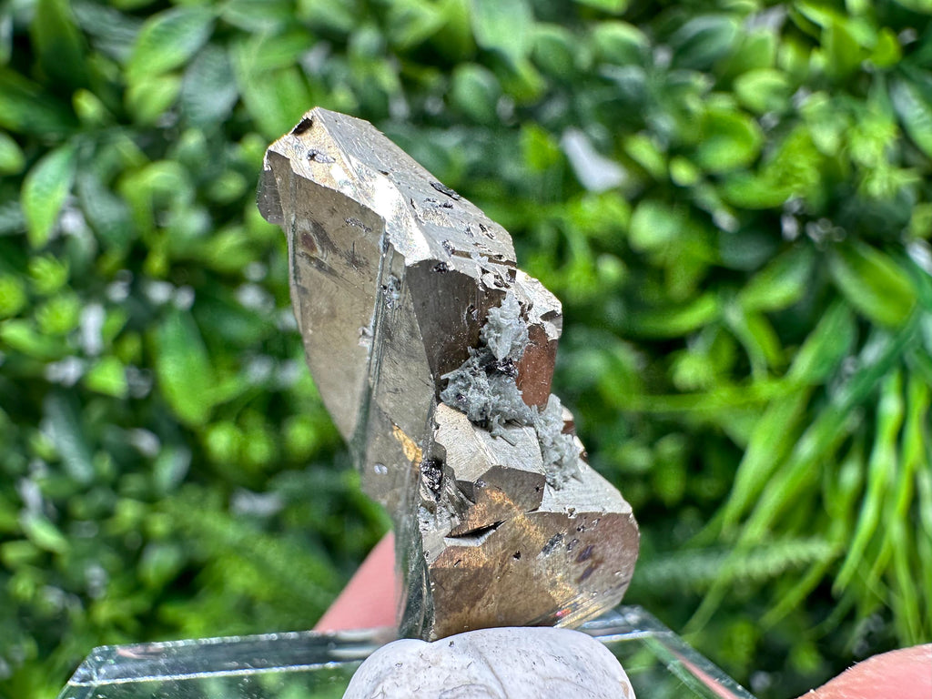 Mini Rainbow Pyrite Cluster: Borieva Mine, Bulgaria