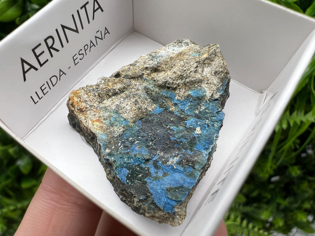 Rare Raw Aerinite Mineral Specimen: Collection Crystal from Lleida, Spain (3.5/3 cm
