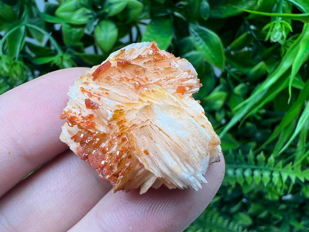 Red Vanadinite on Barite from Marocco,crystal minerals Speciment cluster Vanadinite crystal Vanadinite Geology Vanadinite cluster minerals