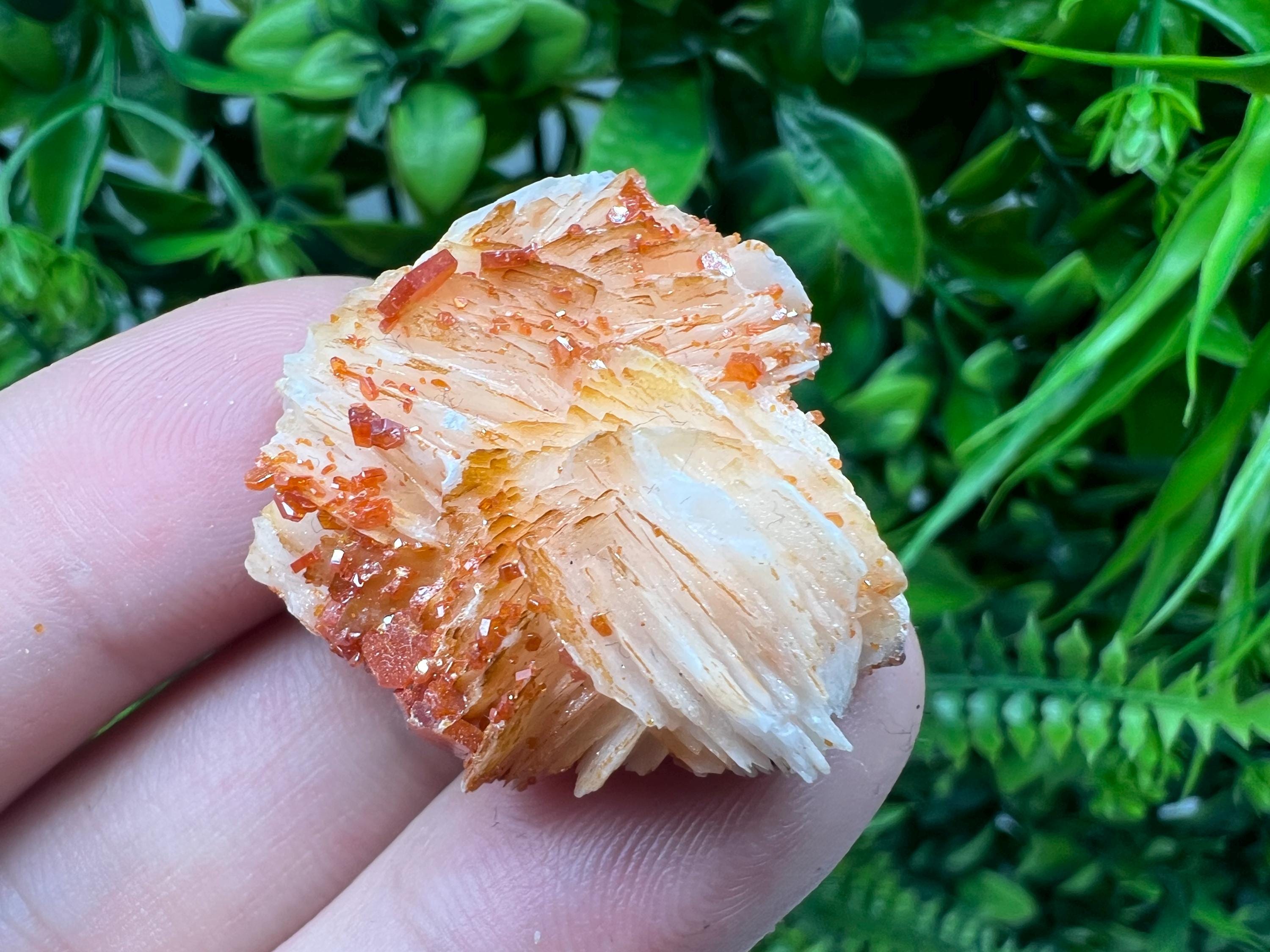 Red Vanadinite on Barite from Marocco,crystal minerals Speciment cluster Vanadinite crystal Vanadinite Geology Vanadinite cluster minerals