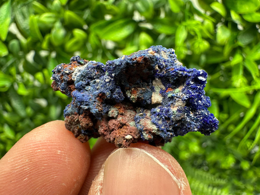Crystallized Azurite-Kerrouchen,Morocco-Blue Azurite Specimen-High Quality Blue Azurite-Azurite Mineral Specimen, gemmy,lustrous of Azurite