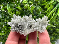 Chlorite Included Green Quartz Crystal Specimen: Madan, Bulgaria
