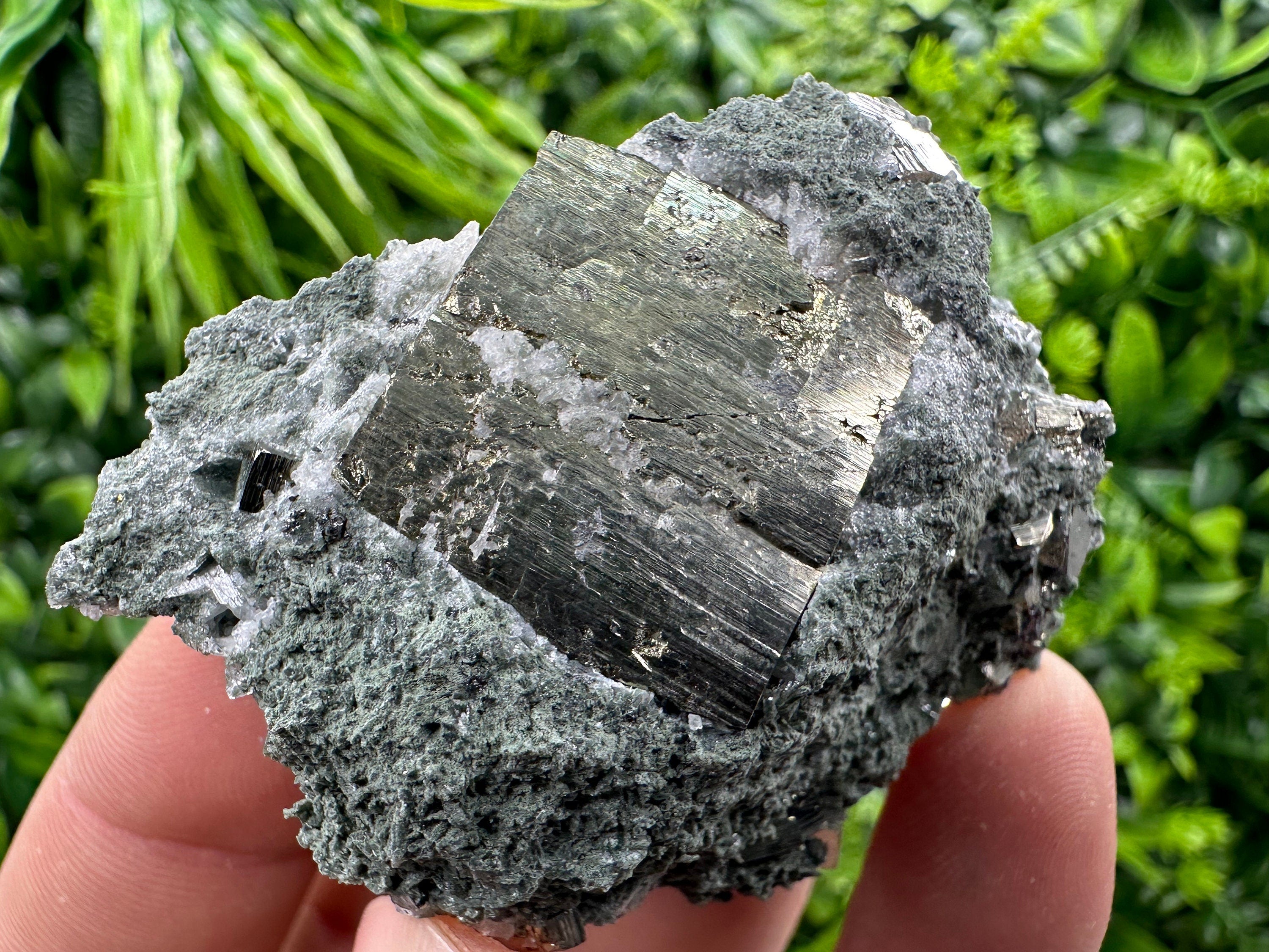 Pyrite with Chlorite: Natural Mineral Souvenir from Bulgaria