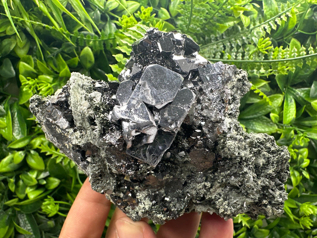 Shiny Galena Sphalerite on Quartz: Natural Mineral Souvenir
