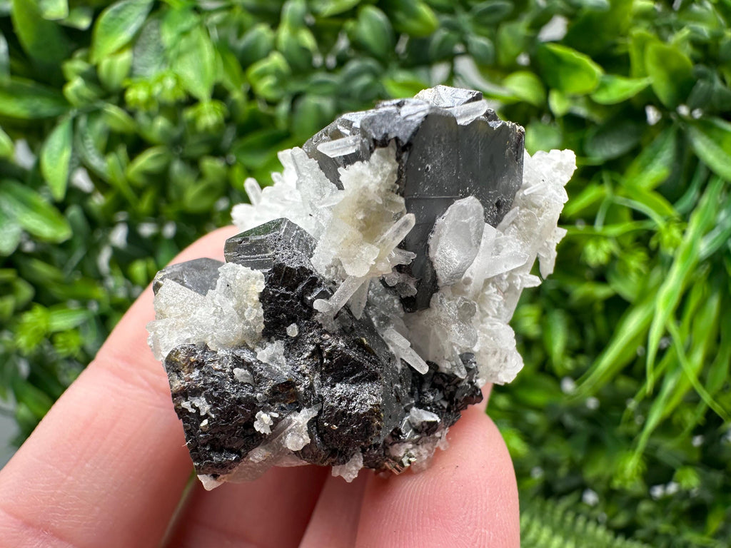 Wonderful Sphalerite Chalcopyrite on  Quartz whit Galena feom 9 th September mine,Bulgaria,natural,collection mineral specimen,gift