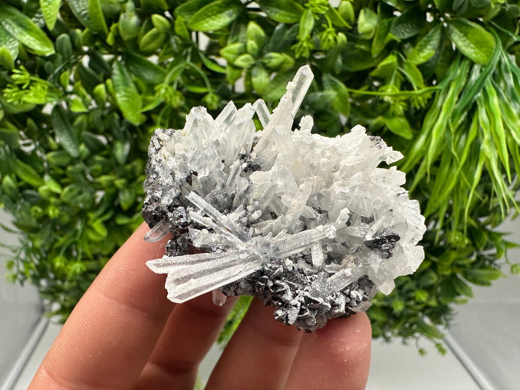 Sphalerite on Quartz: Rare Mineral Cluster from Borieva Mine, Bulgaria