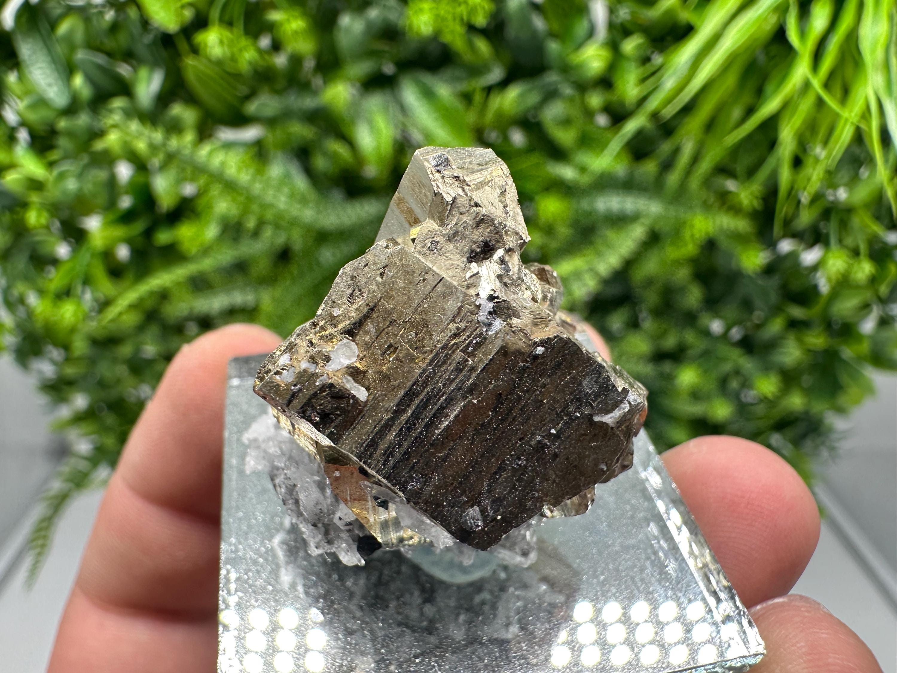 Rainbow Pyrite Hematite Cluster: Borieva Mine, Bulgaria