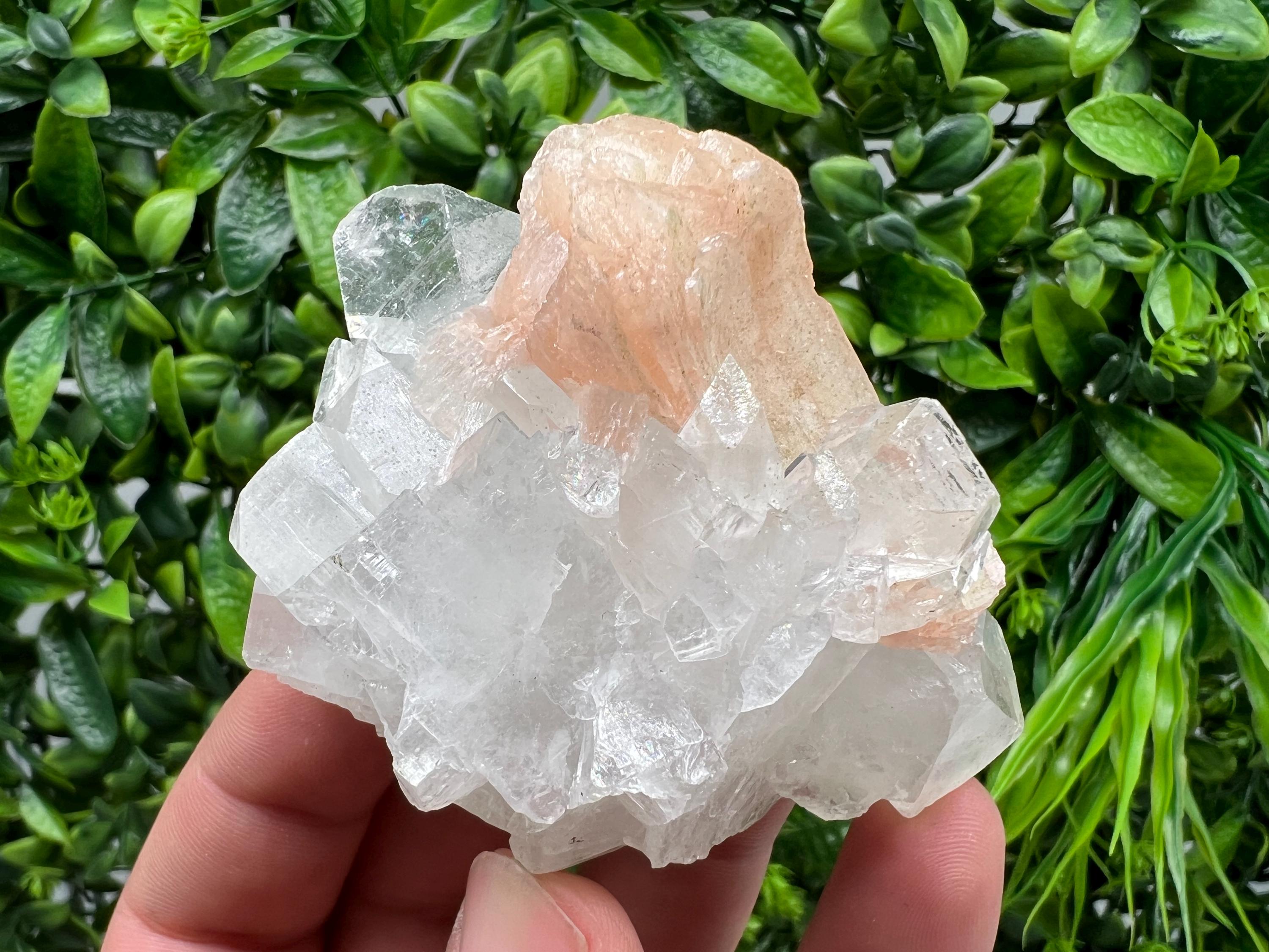 Apophyllite on Chalcedony Specimen: Natural Crystal from India