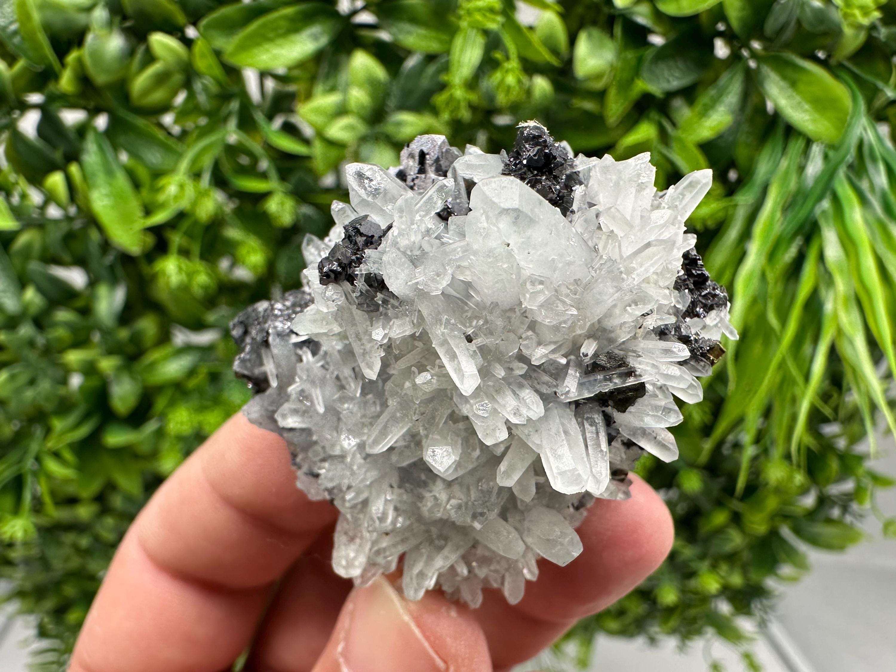 Wonderful Sphalerite Chalcopyrite on Green Quartz whit Hematite feom 9 th September mine,Bulgaria,natural,collection mineral specimen,gift