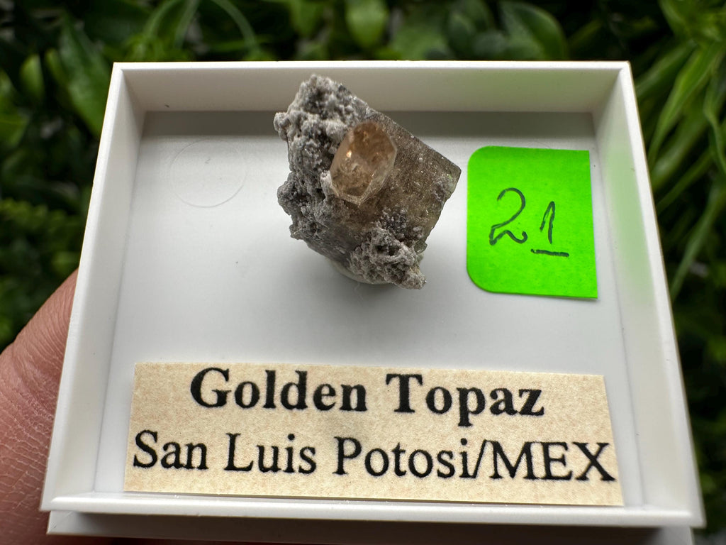 Golden Topaz Crystal, Mineral Specimen from Mexico