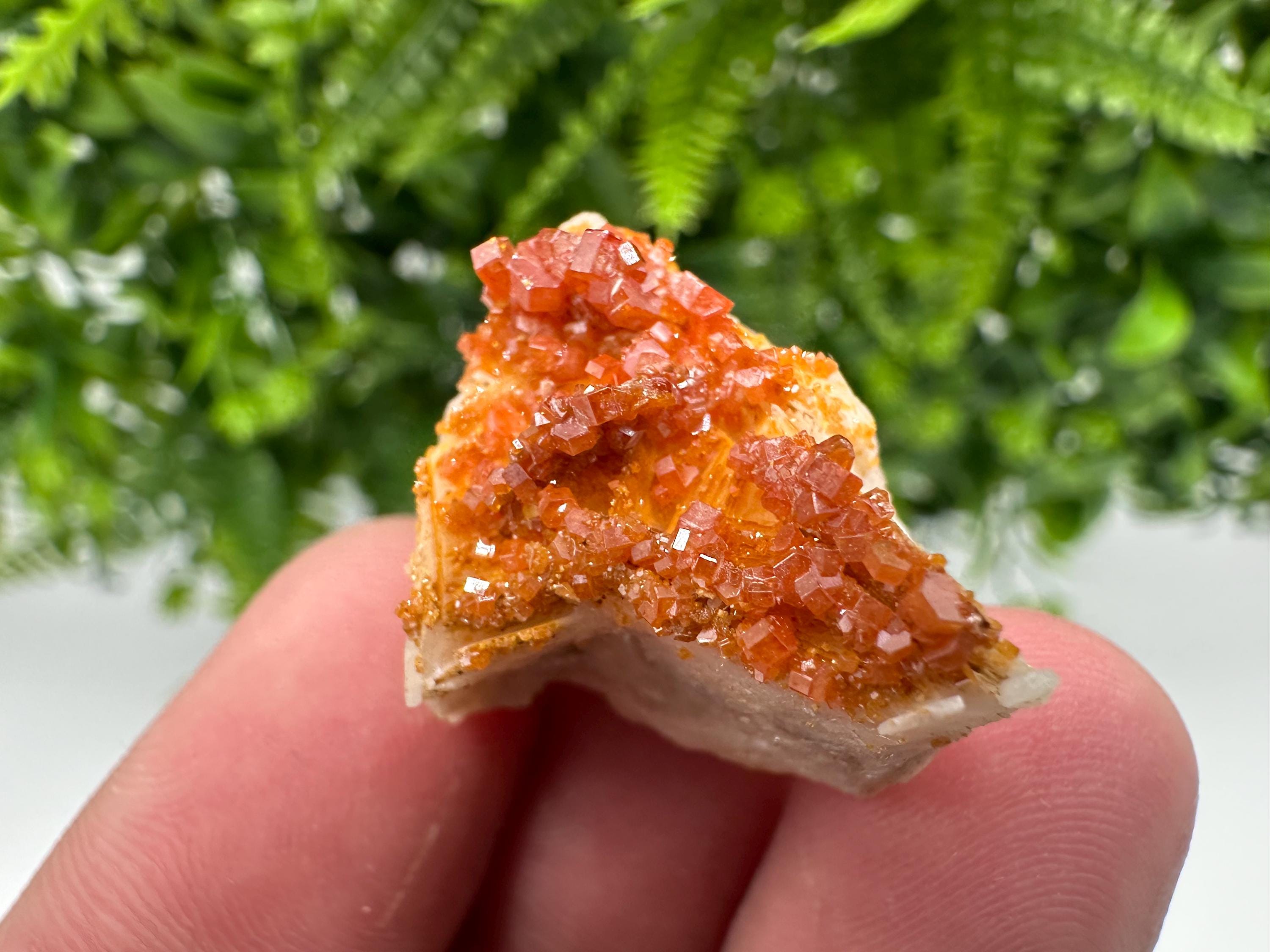 Red Vanadinite Crystal Cluster on Barite Matrix, Moroccan Mineral Specimen