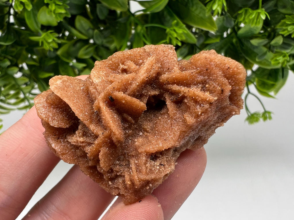 Desert Rose Crystal: Root Chakra Healing Selenite Stone