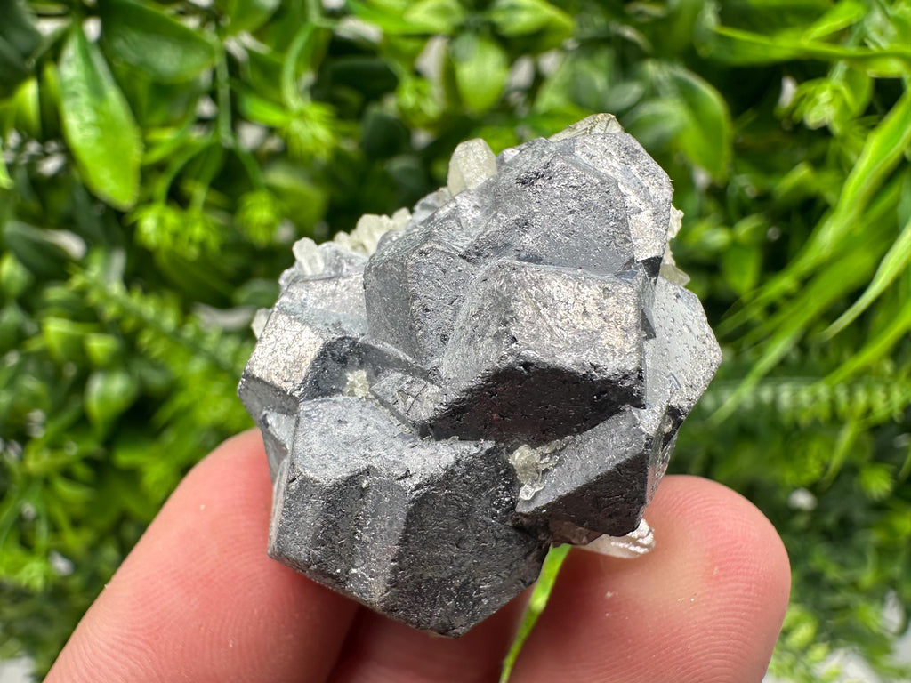 Galena on Pyrite Mineral Specimen, Borieva Mine, Bulgaria