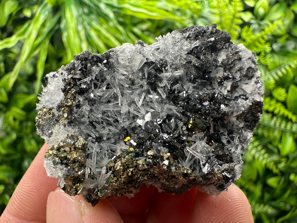 Rainbow Pyrite, Sphalerite on Quartz: Natural Crystal Souvenir