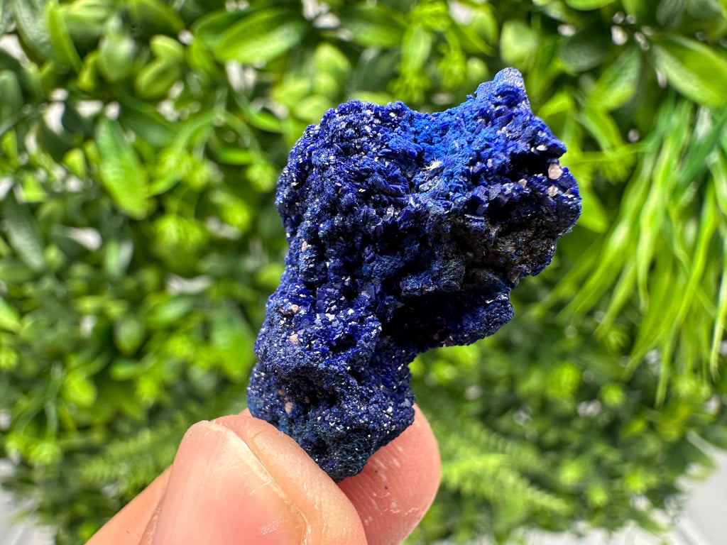 Crystallized Azurite-Kerrouchen,Morocco-Blue Azurite Specimen-High Quality Blue Azurite-Azurite Mineral Specimen, gemmy,lustrous of Azurite