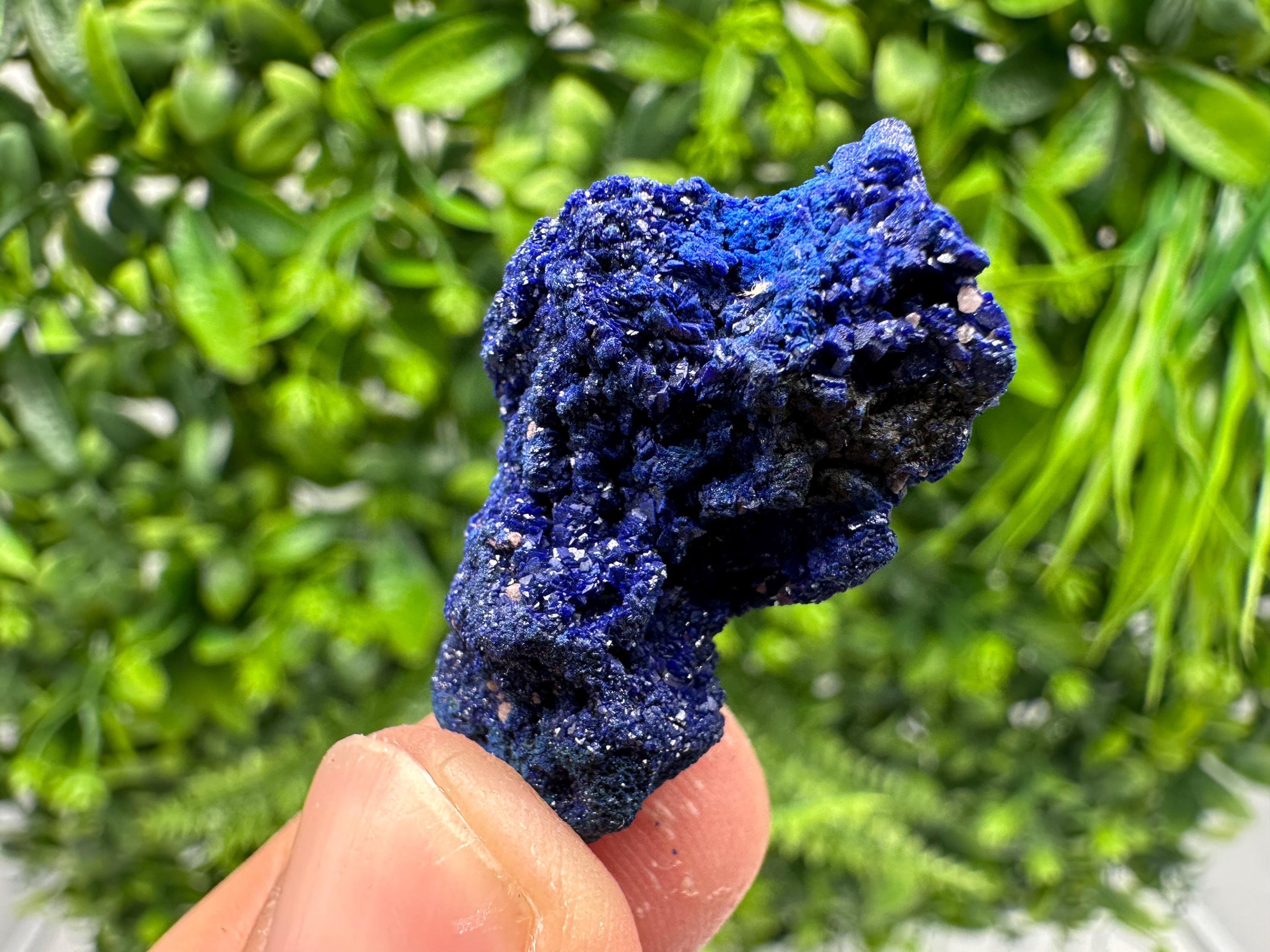 Crystallized Azurite-Kerrouchen,Morocco-Blue Azurite Specimen-High Quality Blue Azurite-Azurite Mineral Specimen, gemmy,lustrous of Azurite