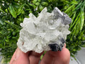 Aesthetic Natural shiny Galena whit Siderite and Quartz from 9 th September mine,Bulgaria,collection specimen,rare galena,Galena cluster