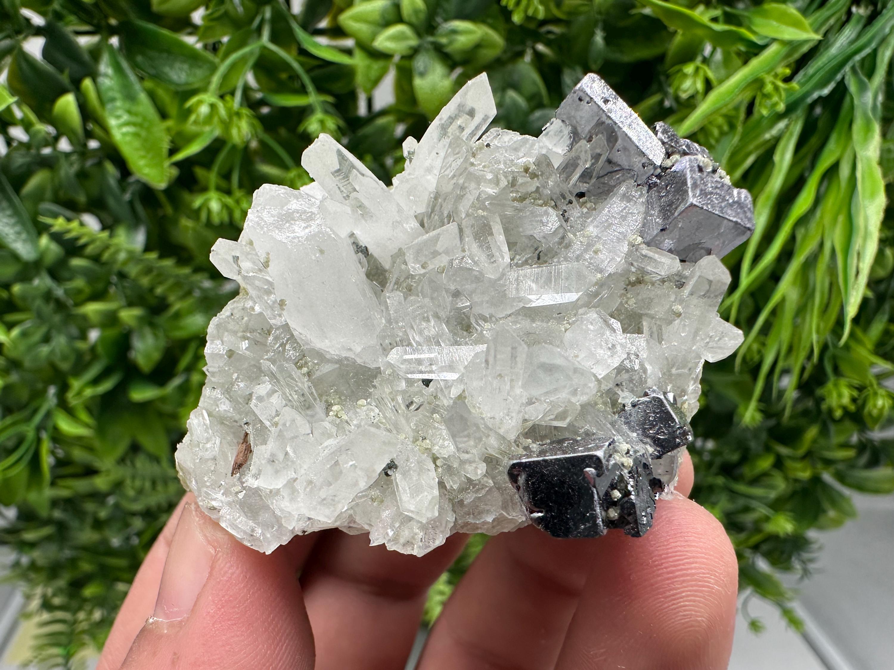 Aesthetic Natural shiny Galena whit Siderite and Quartz from 9 th September mine,Bulgaria,collection specimen,rare galena,Galena cluster