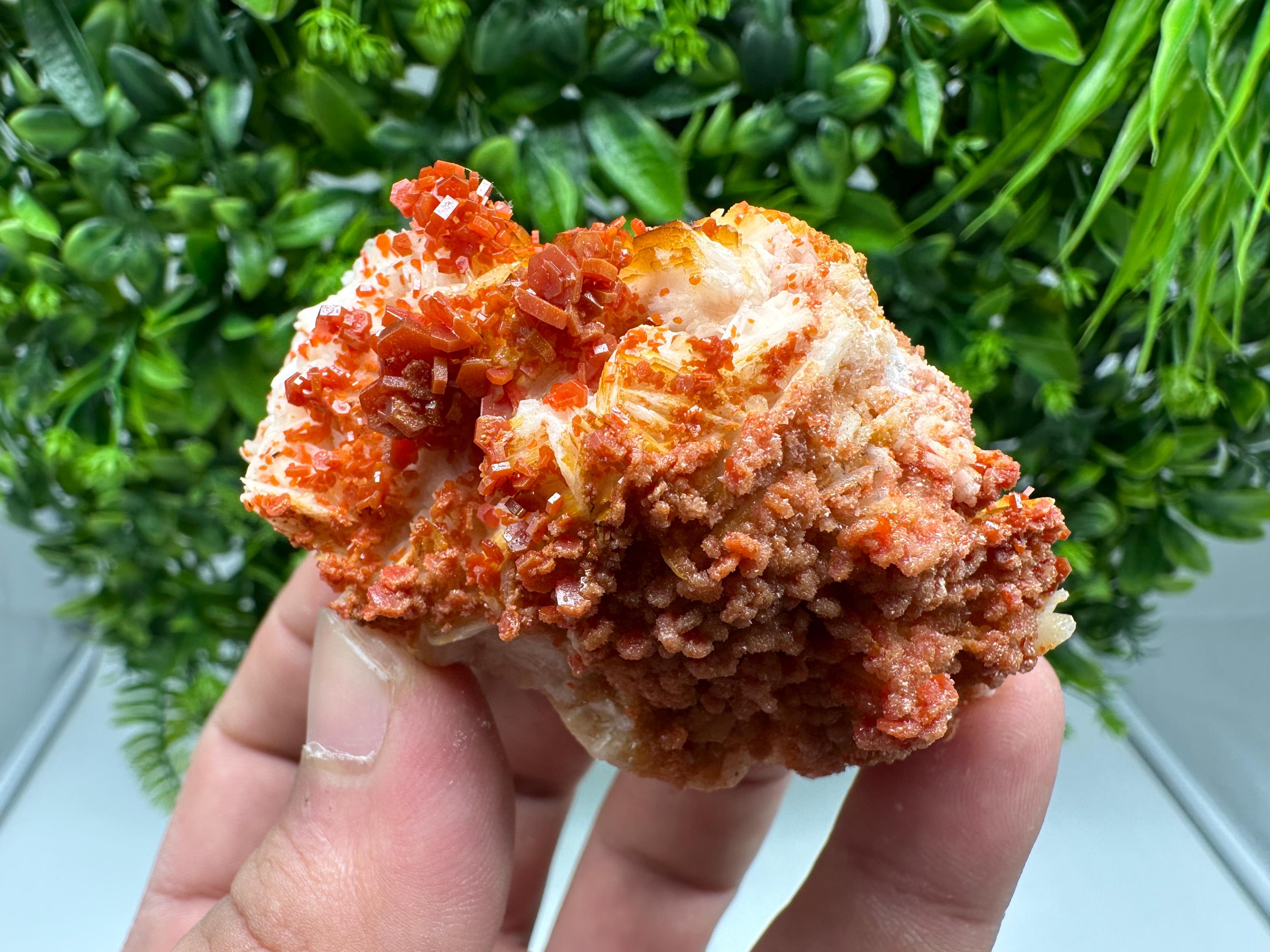 Red Vanadinite on Barite from Marocco,crystal minerals Speciment cluster Vanadinite crystal Vanadinite Geology Vanadinite cluster minerals