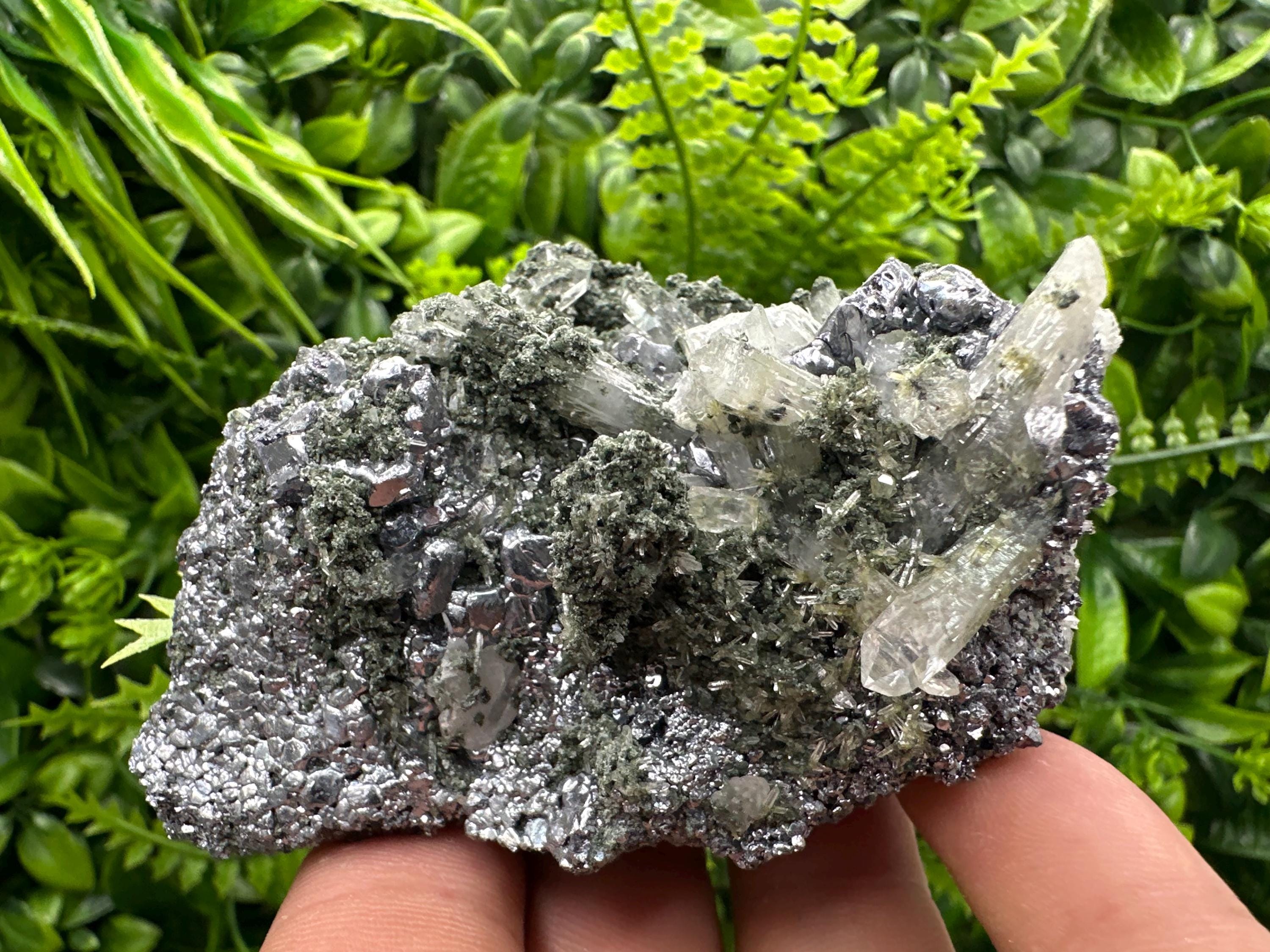 Galena with Quartz and Chlorite, Bulgaria Mineral Specimen