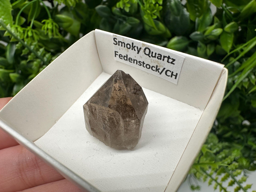 Rare Fedenstock Smoky Quartz, Swiss Mineral Specimen (20/20MM)