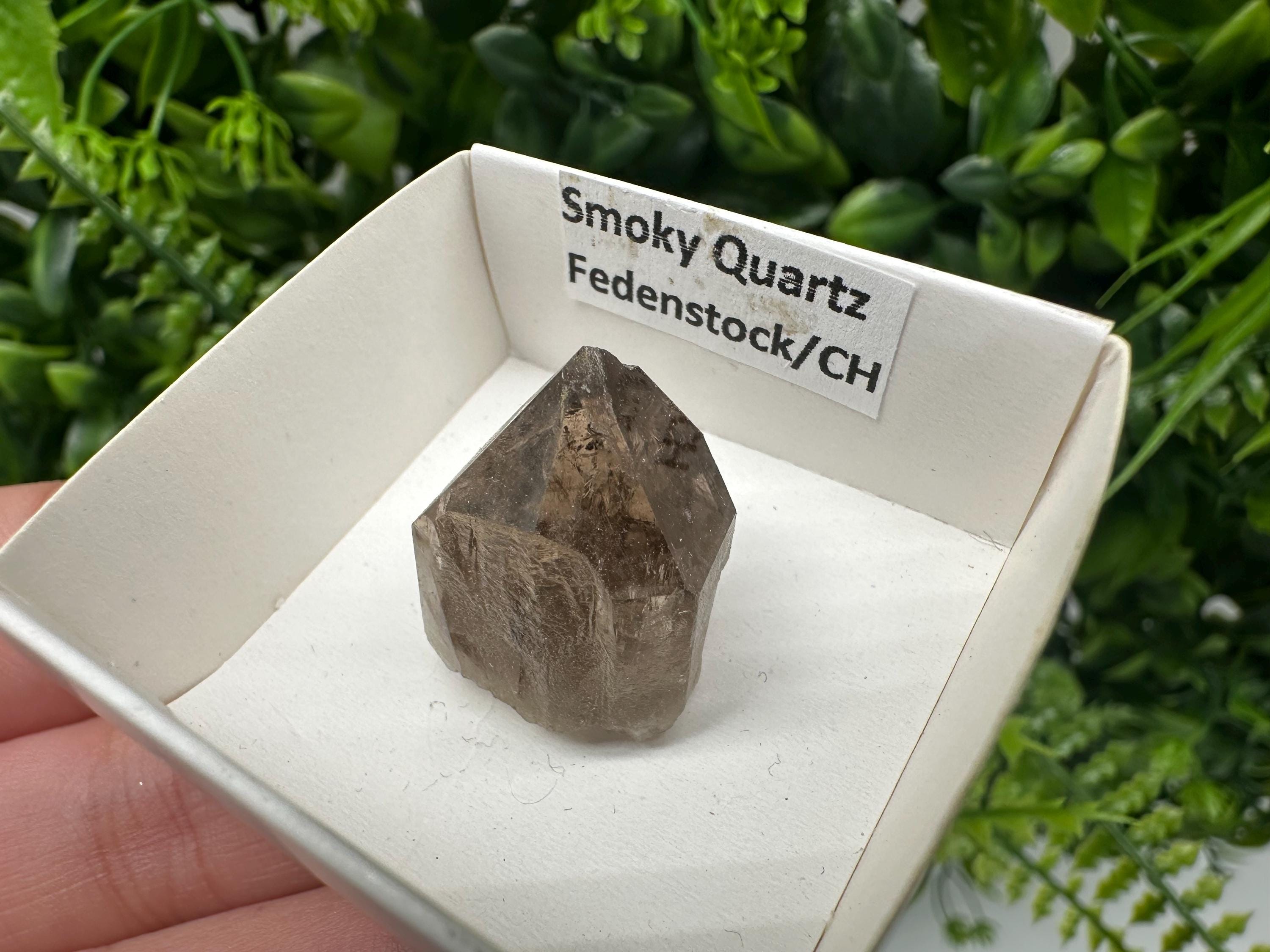 Rare Fedenstock Smoky Quartz, Swiss Mineral Specimen (20/20MM)