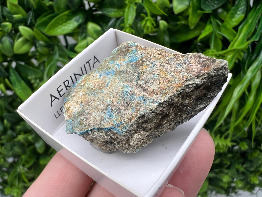 Rare Raw Aerinite Mineral Specimen: Lleida, Spain Collection Crystal