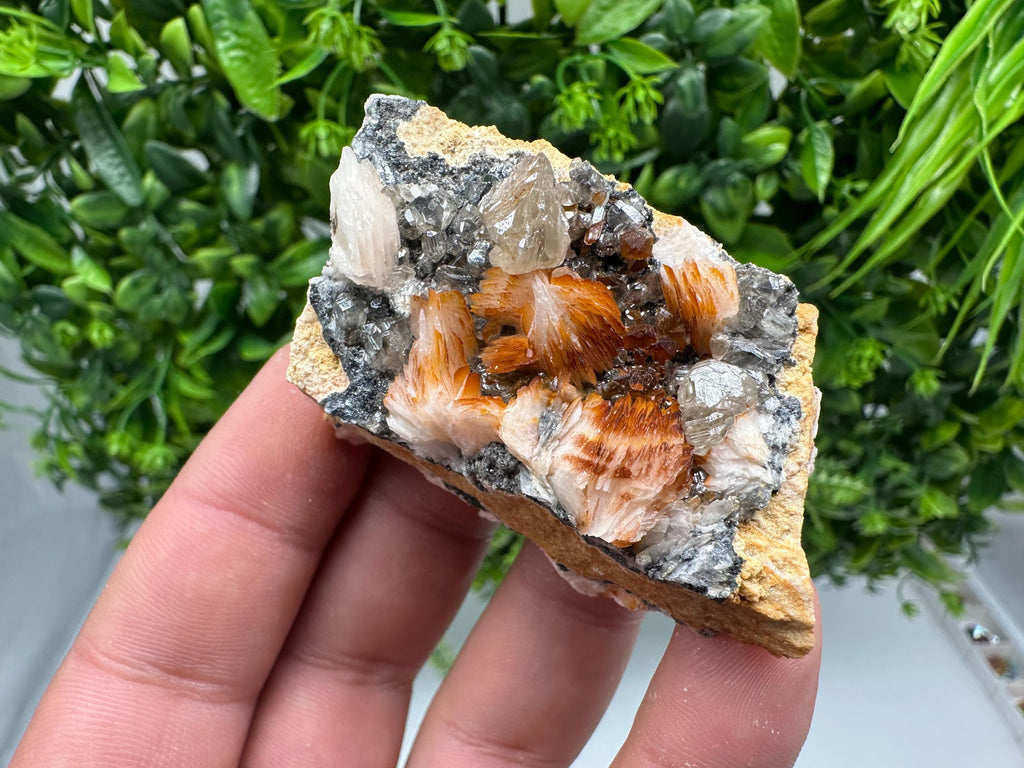 Wonderful Baryte with Cerussite on Galena from Morocco,Crystal, Mineral,Specimen,Cluster,Crystals,Barite Crystal,Cerussite Crystal,Specimen