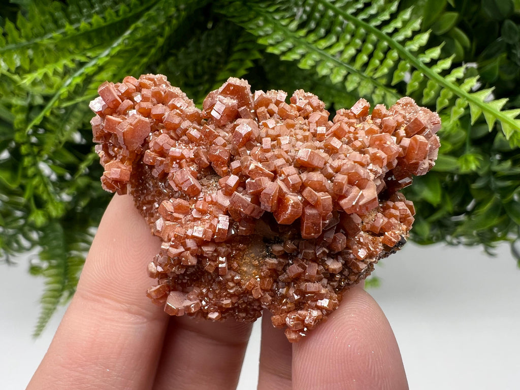 Red Vanadinite Crystal Cluster on Barite Matrix, Morocco Mineral Specimen