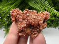Red Vanadinite Crystal Cluster on Barite Matrix, Morocco Mineral Specimen