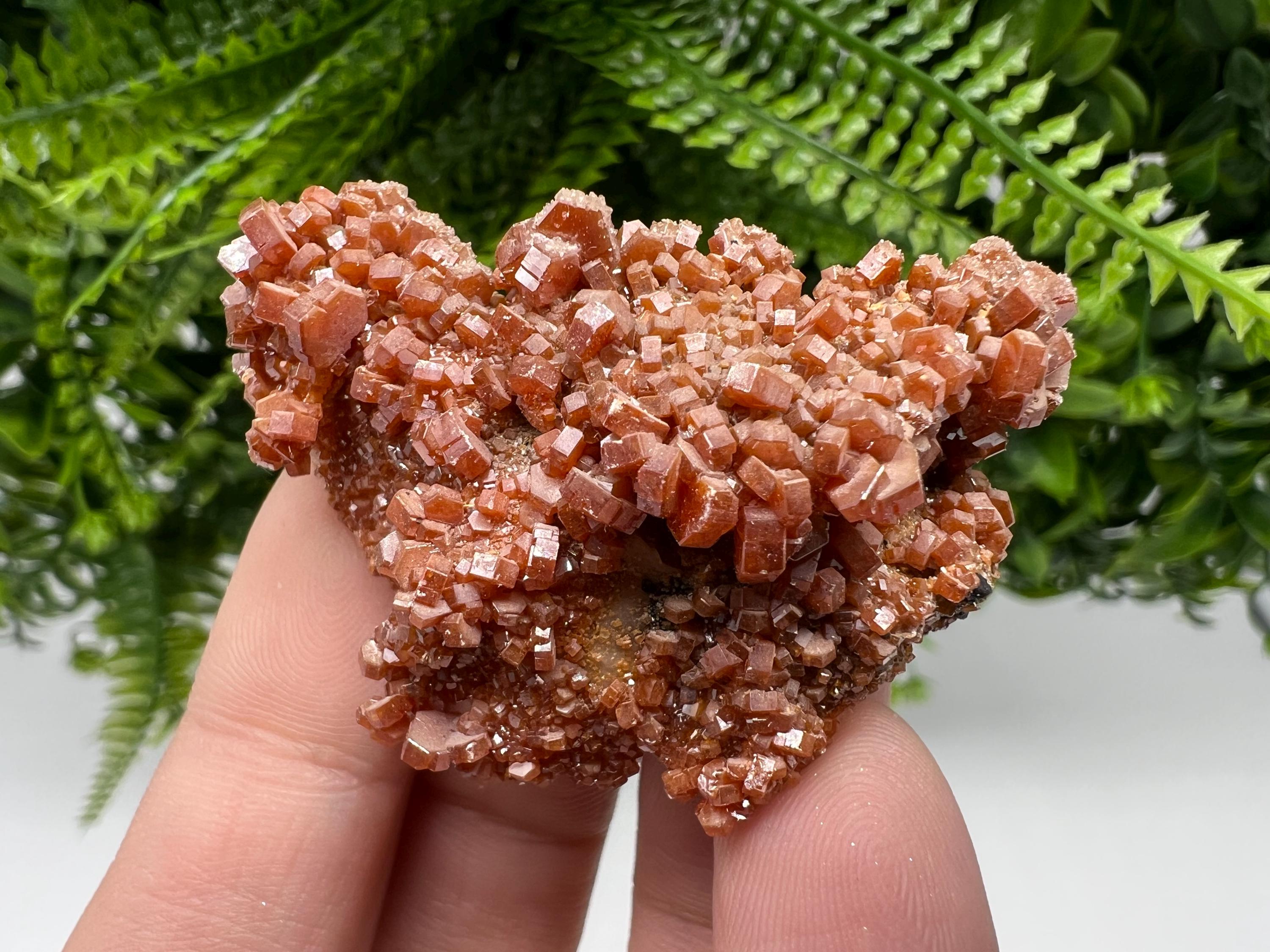 Red Vanadinite Crystal Cluster on Barite Matrix, Morocco Mineral Specimen