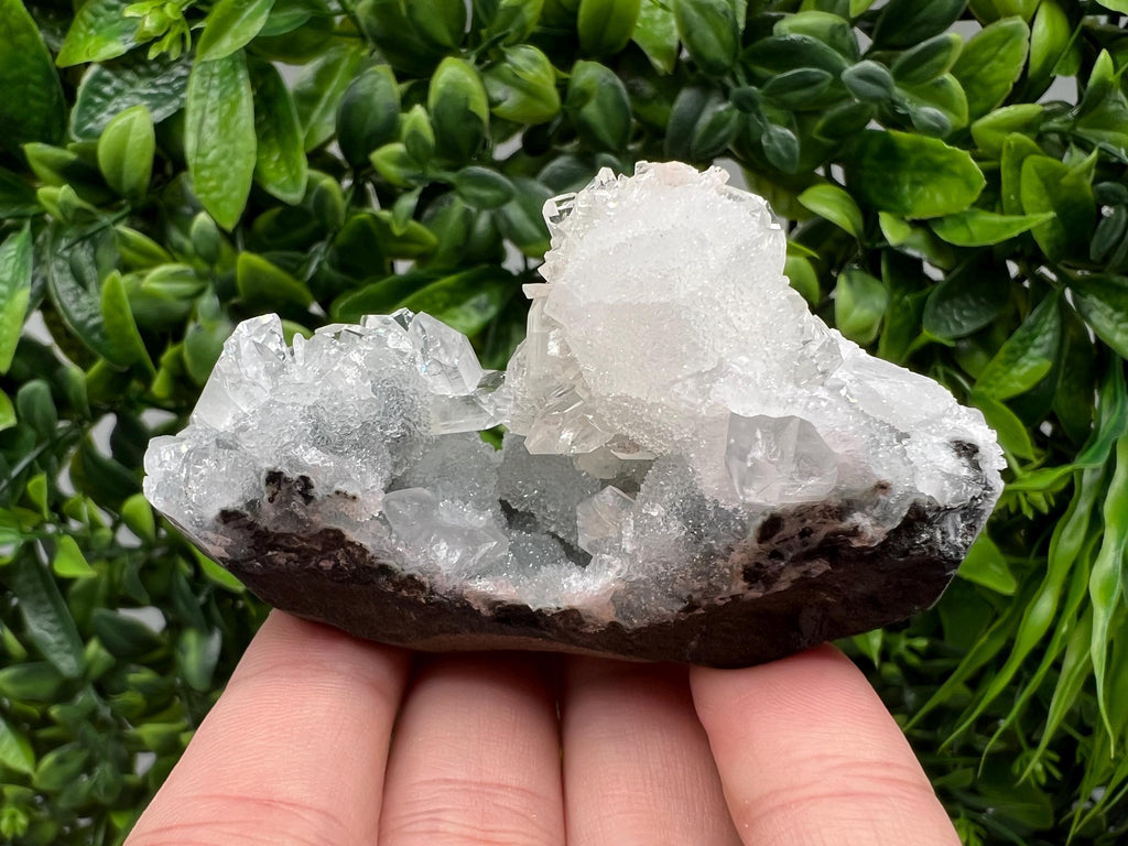 Transparent Apophyllite on Chalcedony, Natural Crystal Specimen, India Minerals
