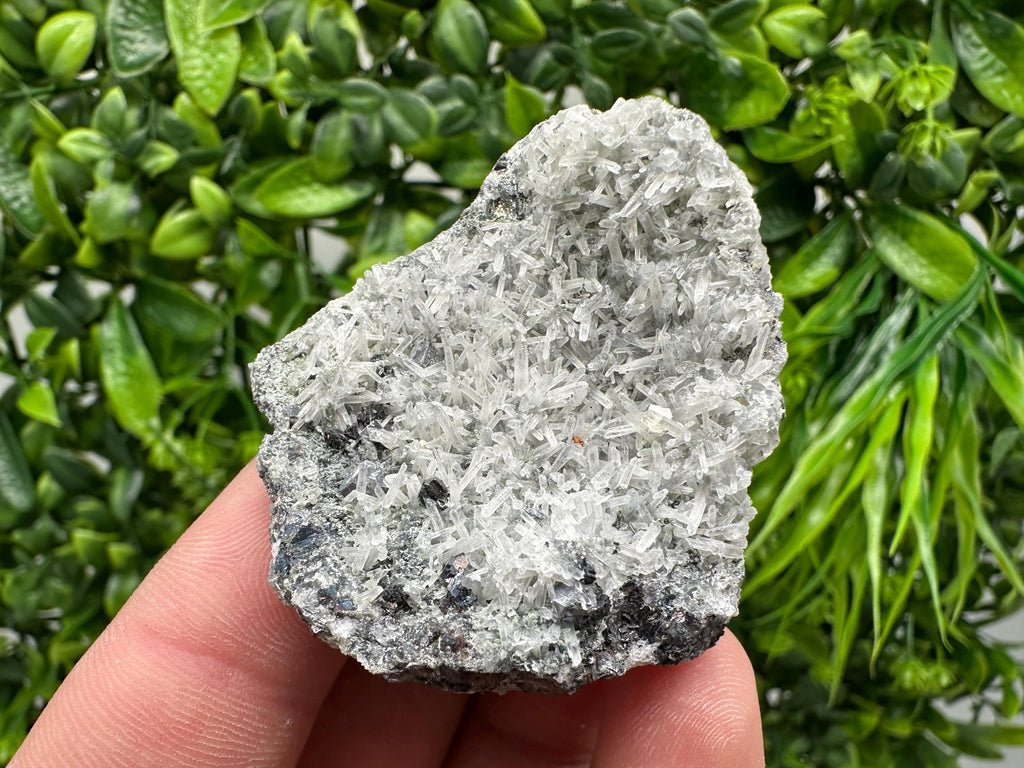 Pyrite on Green Quartz Specimen: Borieva Mine Mineral Decor