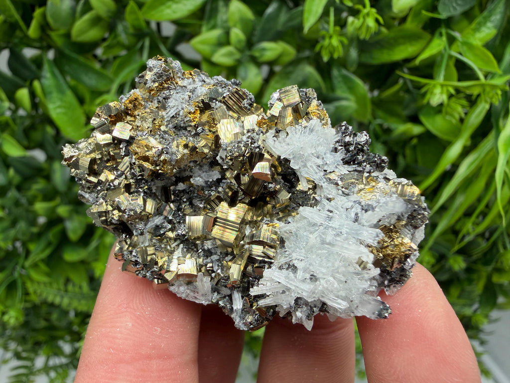 Pyrite Sphalerite Quartz  Mineral Specimen, Krushev dol Mine
