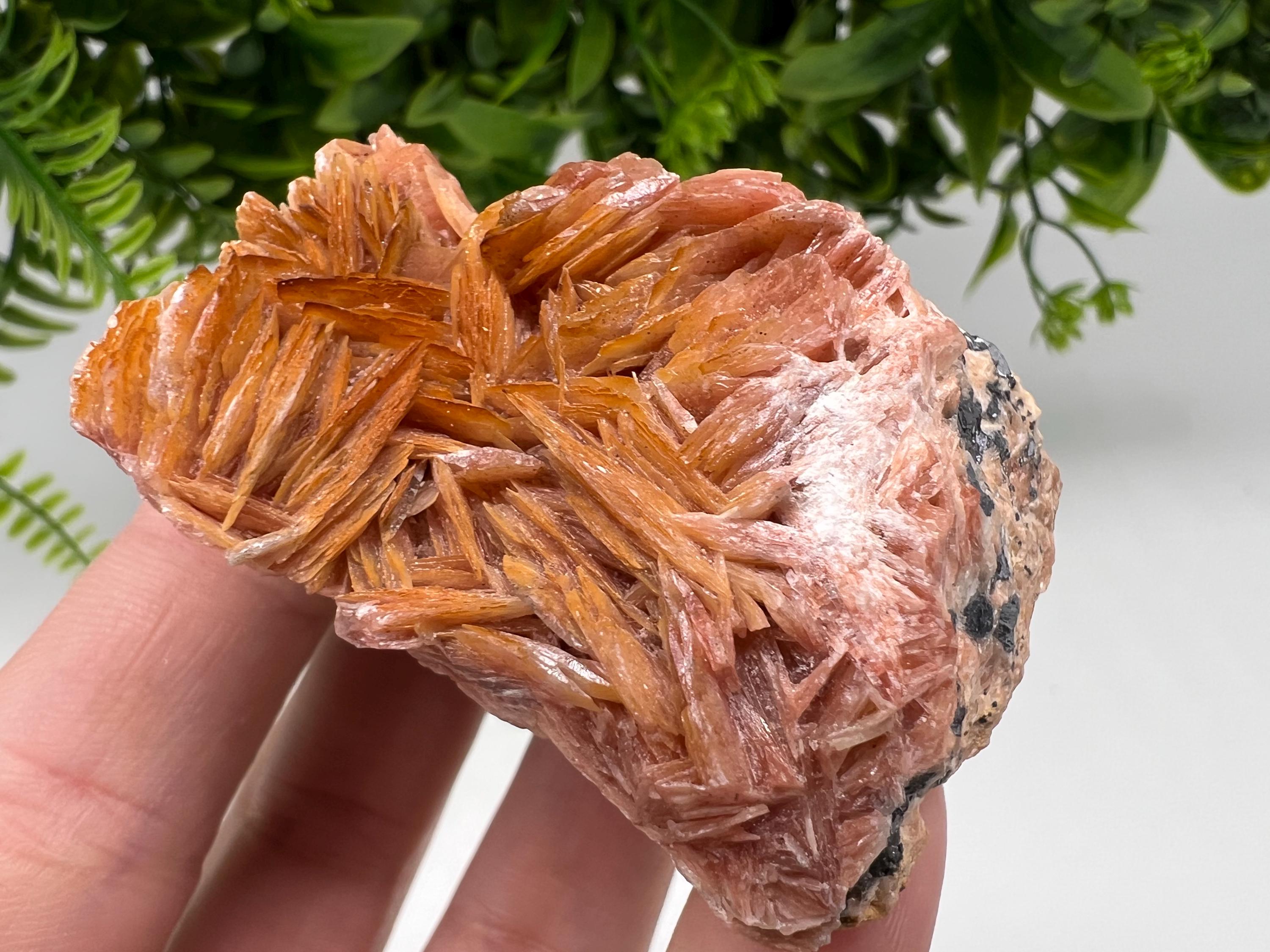 Moroccan Baryte Cluster with Cerussite on Galena