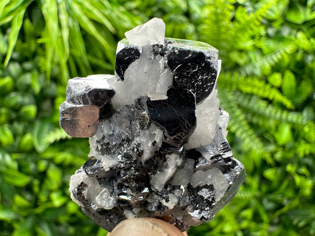 Galena with Calcite Crystal: Borieva Mine, Bulgaria