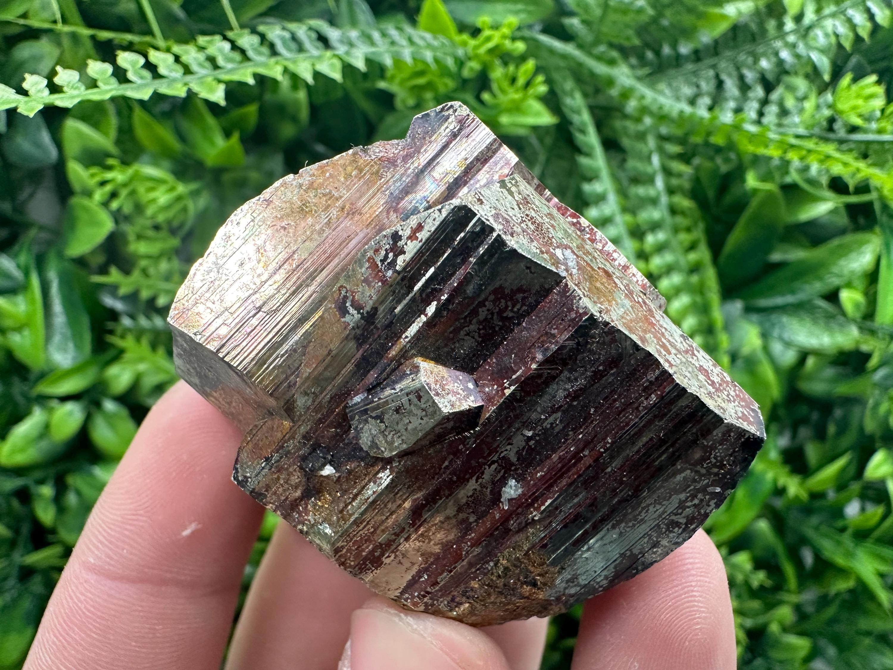 Pyrite with Hematite Mineral Specimen: Bulgaria Crystal Decor (5.5cm)