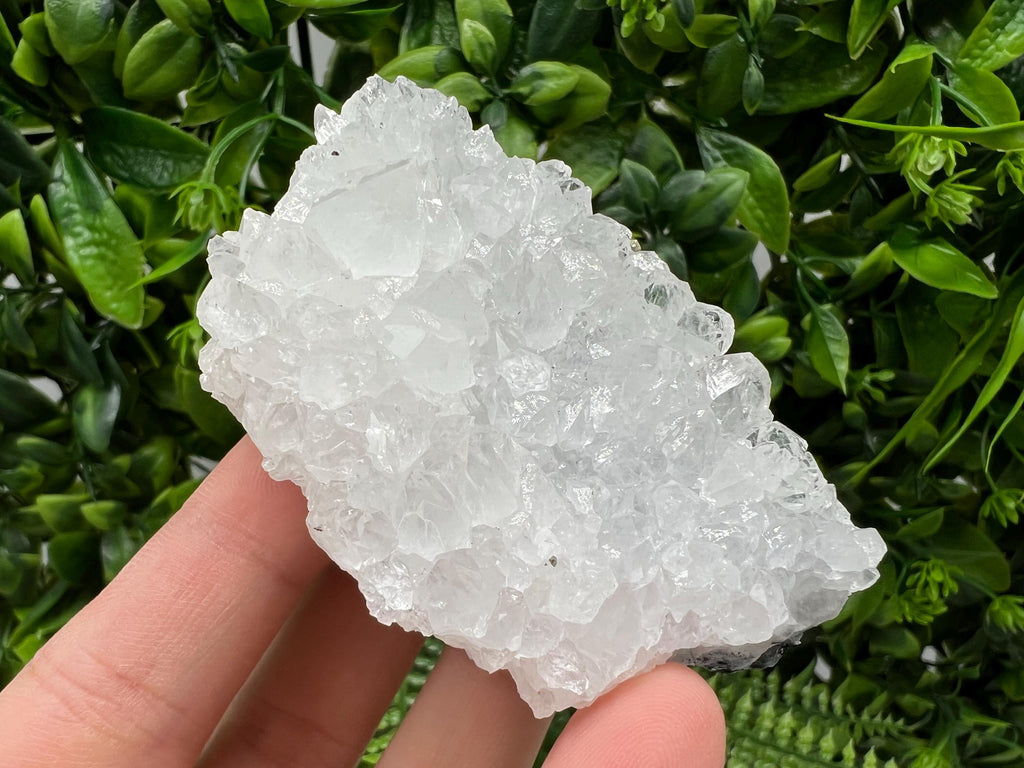 Transparent Quartz on Chlorite Matrix, Borieva Mine, Bulgaria