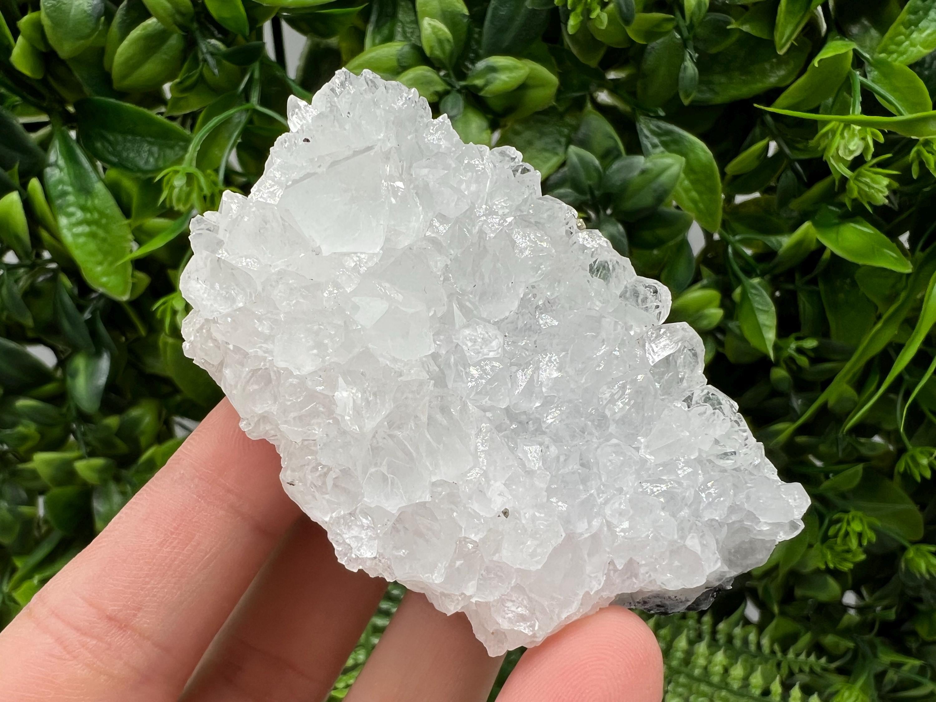 Transparent Quartz on Chlorite Matrix, Borieva Mine, Bulgaria