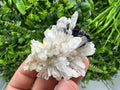 Quartz Sphalerite Chalcopyrite Mineral Specimen, Madan Bulgaria