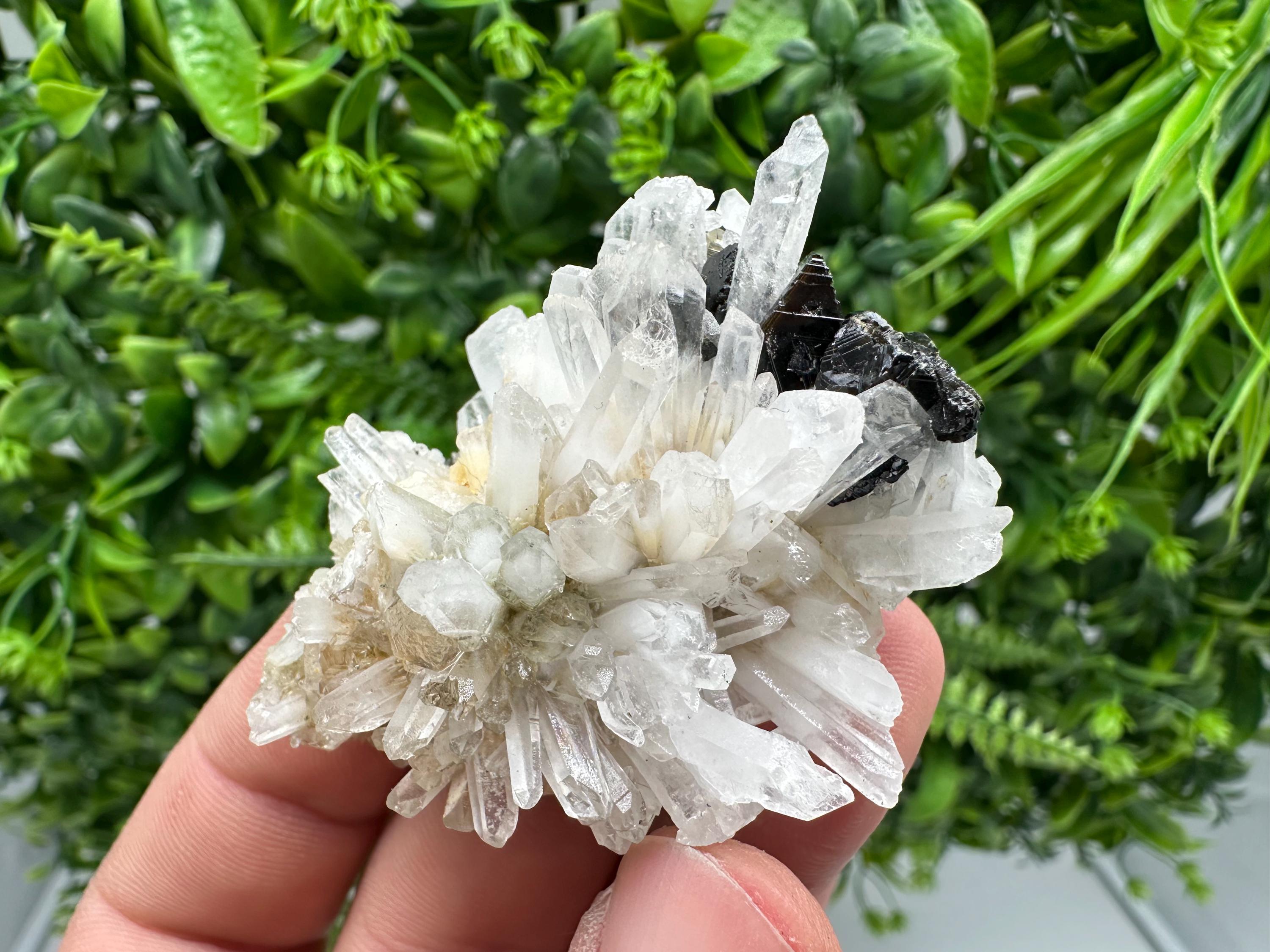 Quartz Sphalerite Chalcopyrite Mineral Specimen, Madan Bulgaria