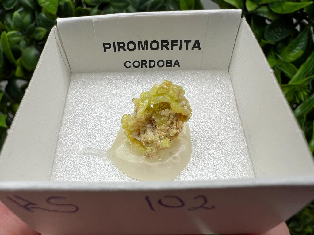 Pyromorphite Stone / Pyromorphite on Matrix / Pyromorphite Crystal / Raw Crystal / Pyromorphite Cluster / Rough Pyromorphite / Pyromorphite